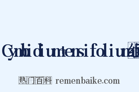 Cymbidium+ensifolium组词是什么意思的图片